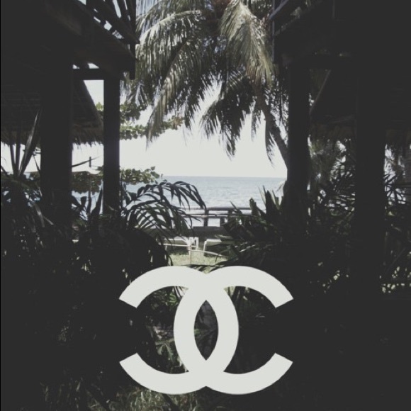 Meet your Posher, Suki - Picture 1 of 1